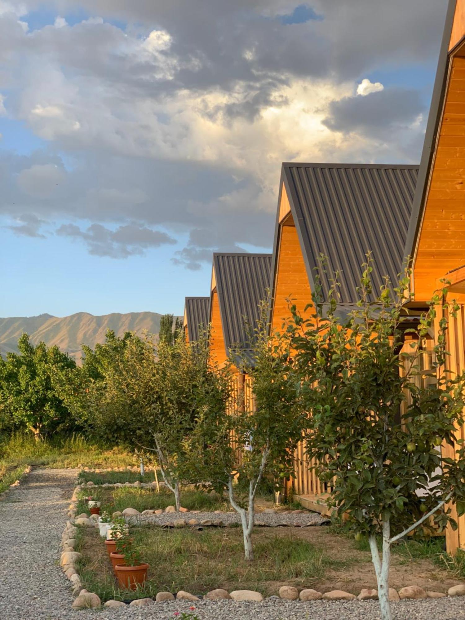 Coral Houses Tossor Екстериор снимка