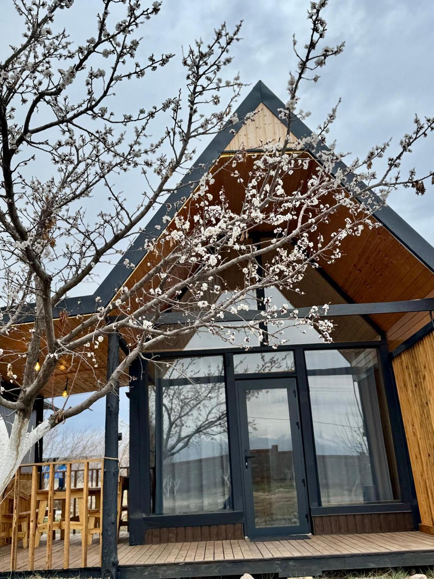 Coral Houses Tossor Екстериор снимка